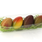 Réglette de 4 mini Oeufs